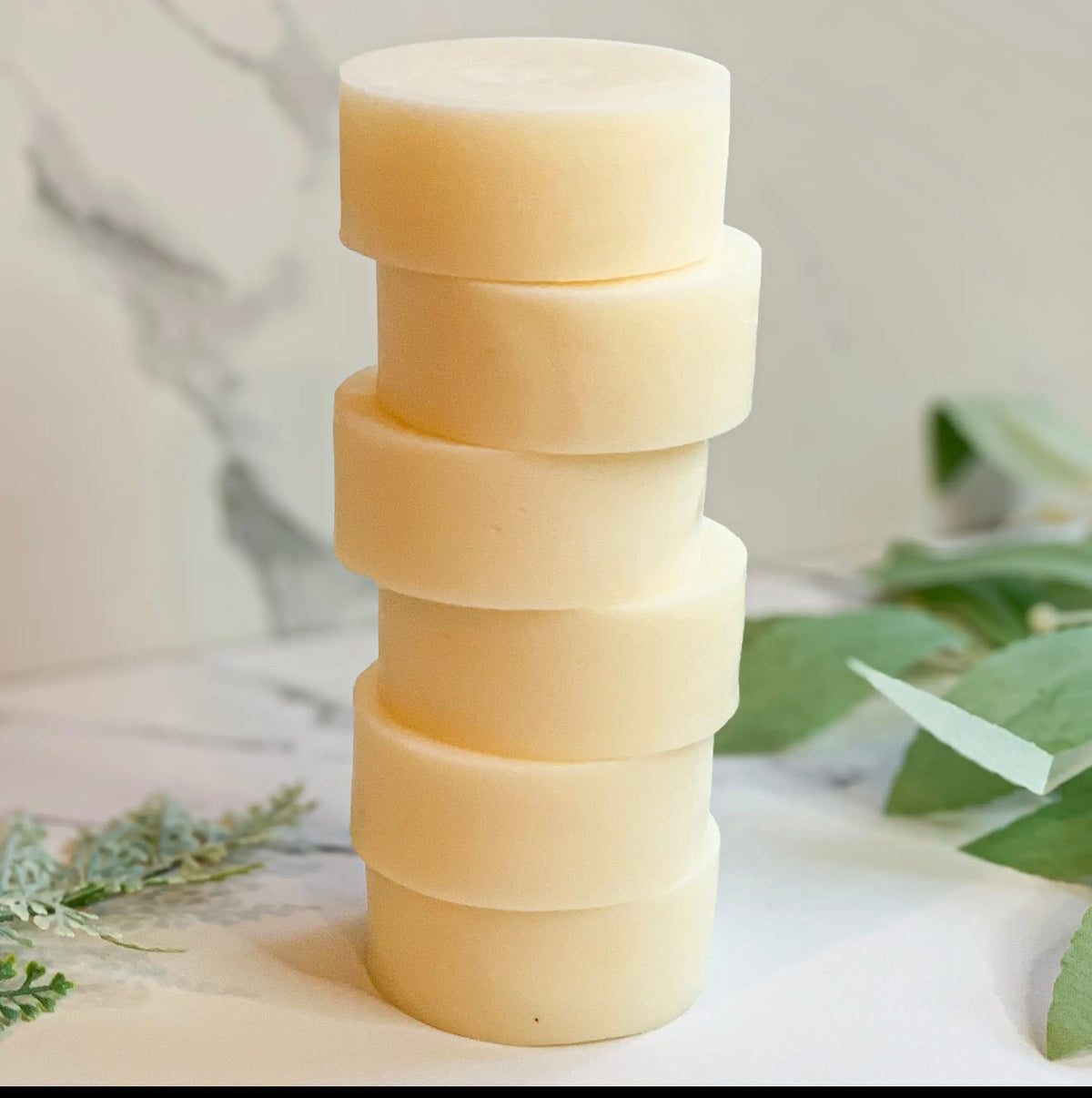 Solid Shampoo & Conditioner Bar Set
